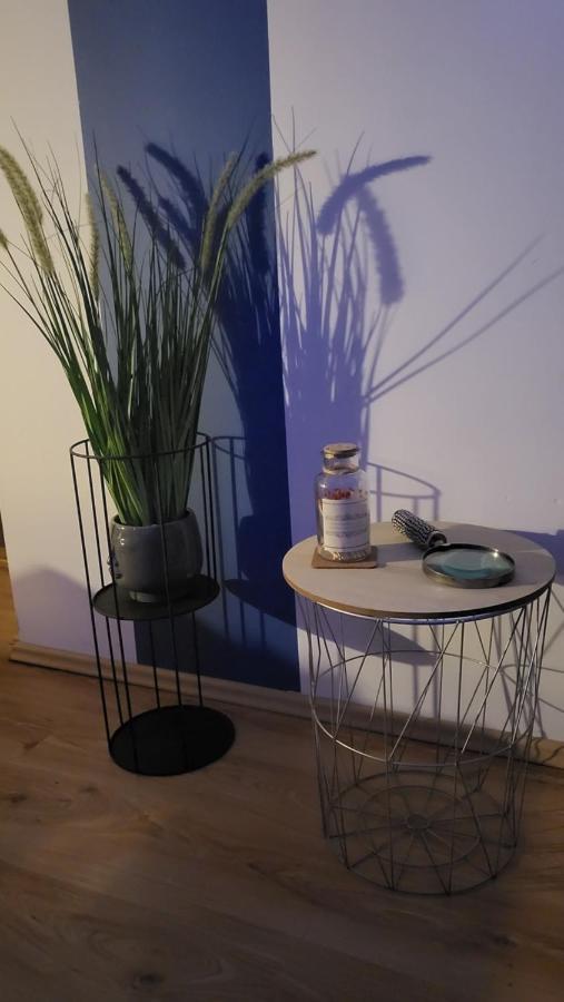 Apartament Wakacyjny Ines -Ustka-Na Wydmie,Samodzielne Zameldowanie,Garaz Do Dyspozycji Gosci מראה חיצוני תמונה